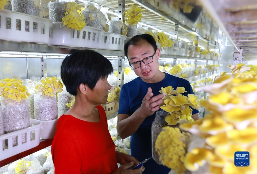 诈金花闷牌技巧